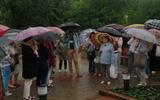 IMG_20240605_101625 (1)